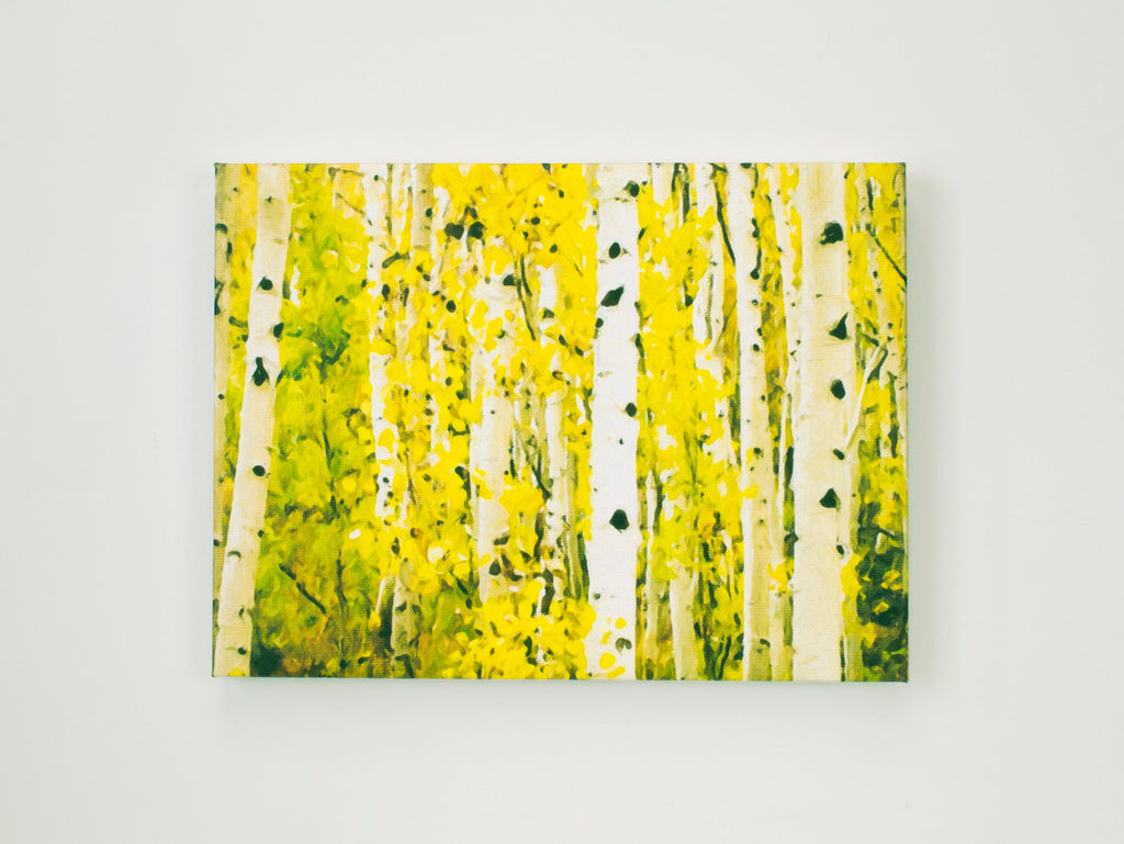 Aspen Trunks Oil Painting, Yellow Fall Color Landscape, Archival Paper Print HORIZONTAL Wall Art