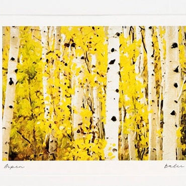 Aspen Trees Colorado Landscape Painting, Archival  Framed Print on Paper