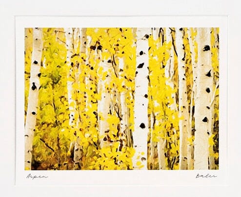 Aspen Trees Colorado Landscape Painting, Archival Print on Paper